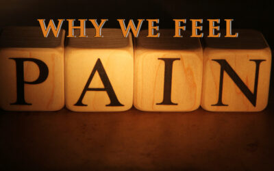 Why We Feel Pain