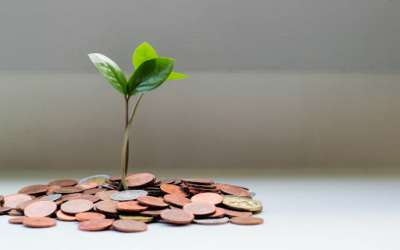 Planning Ahead for Large Expenses in Your Life