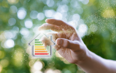 How much you can save with an Home Energy Management System?