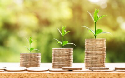 Looking To Increase Your Business Profits?