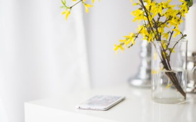 The Essentials For Working At Home: Scheduling, Exercise, & Tools You Can Use