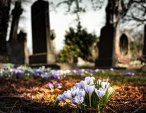 How To Create an Eco-Friendly Funeral Ideas and Alternatives You May Not Have Considered