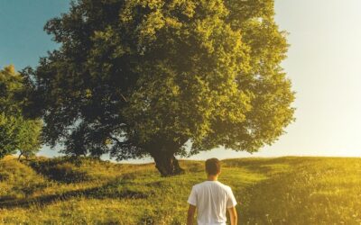 3 Ways Entrepreneurs Can Get Back in Contact With Nature