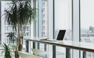 Everything You Need to Know to Stay Productive While Moving Your Business