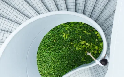 Embracing Green Growth: Sustainable Strategies for Business Expansion