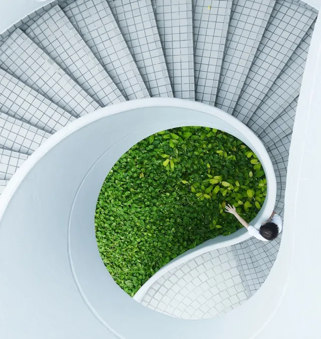 Embracing Green Growth: Sustainable Strategies for Business Expansion