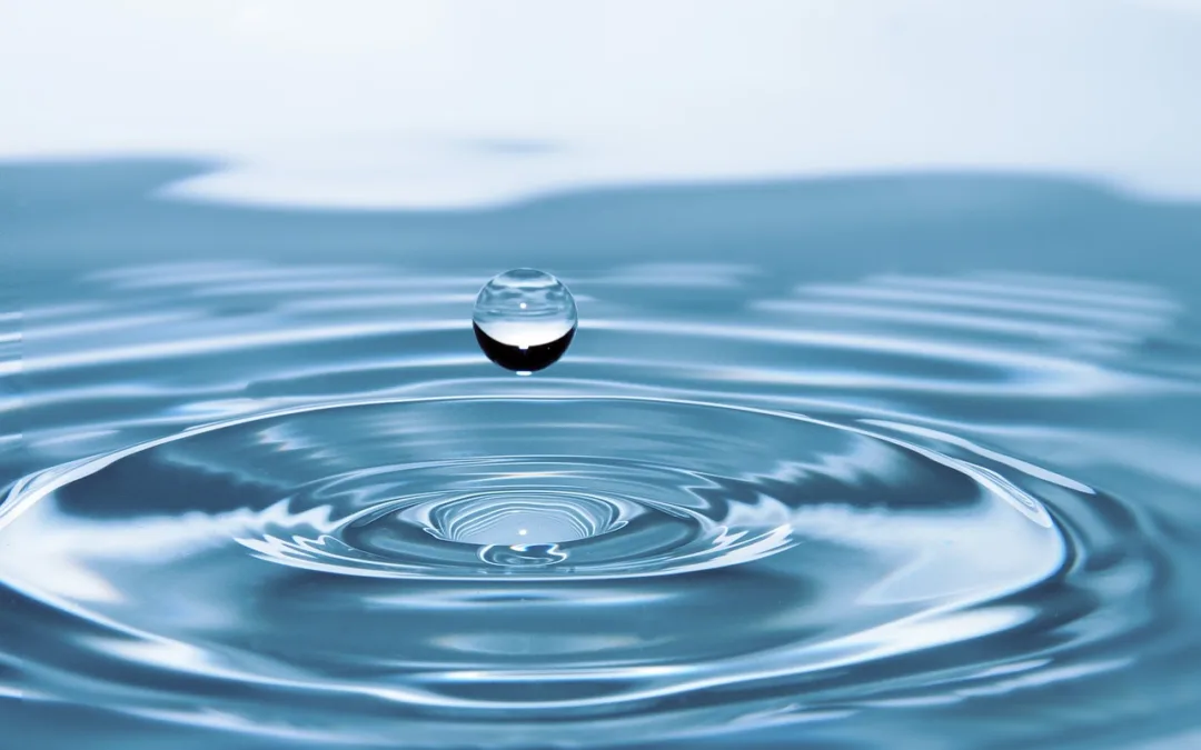 Navigating the Future of Water A Precious Element in Jeopardy