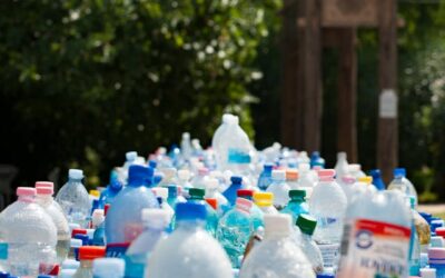 How Well Does Your Business Manage Waste?