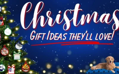 The Best My Pillow Promo Code for Christmas Gifts They Will Love! 30-80% off everything! 🎁