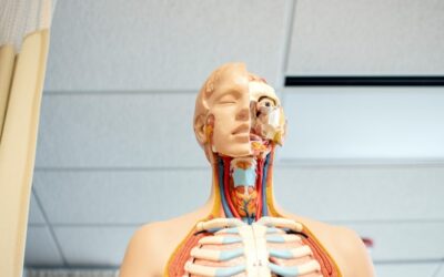 How Your Medical Business Can Stand Out