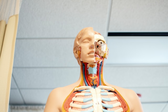 How Your Medical Business Can Stand Out