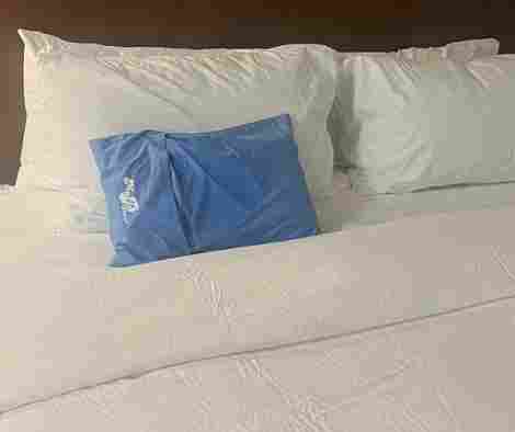 MyPillow Travel Pillow