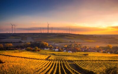 How Your Business Can Be Greener
