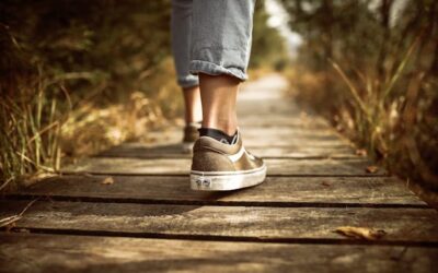 The Power of Saying No: Digital Boundaries That Actually Work