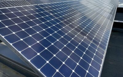 Why Did So Many Businesses Invest In Solar Panels This Year?