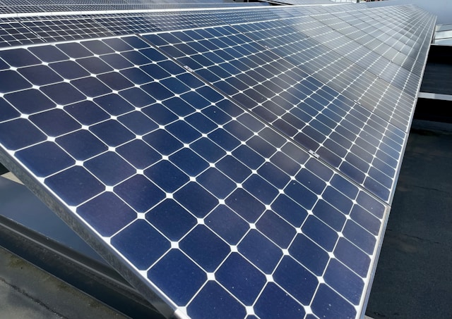 Why Did So Many Businesses Invest In Solar Panels This Year