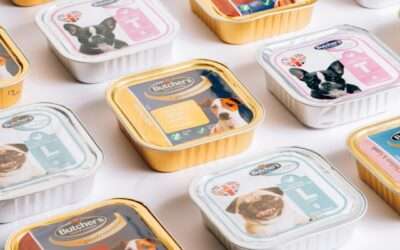 How to Set Up Your Pet Food Business Factory