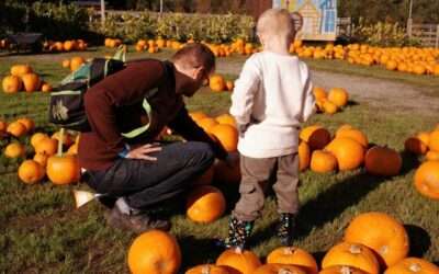 How Can You Make Money With Farmland (When You’re Not a Farmer!)