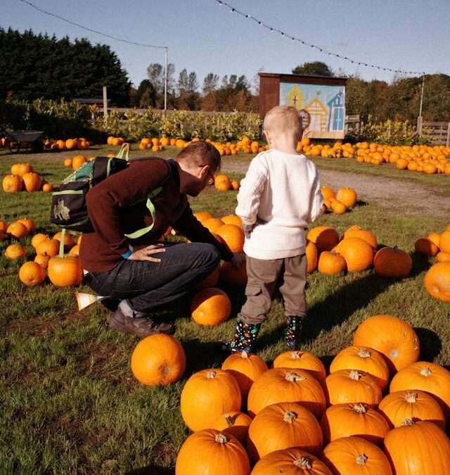 How Can You Make Money With Farmland (When You're Not a Farmer!)