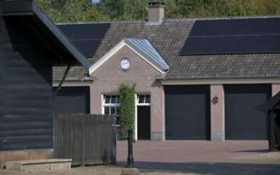 Why Renewable Energy Is Good for Your Business Plan